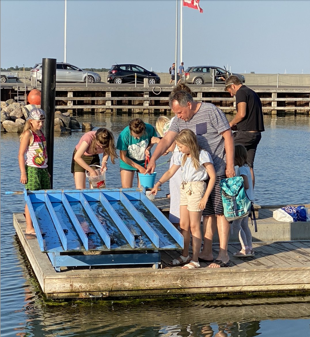 Crab fishing Rørvig Habour